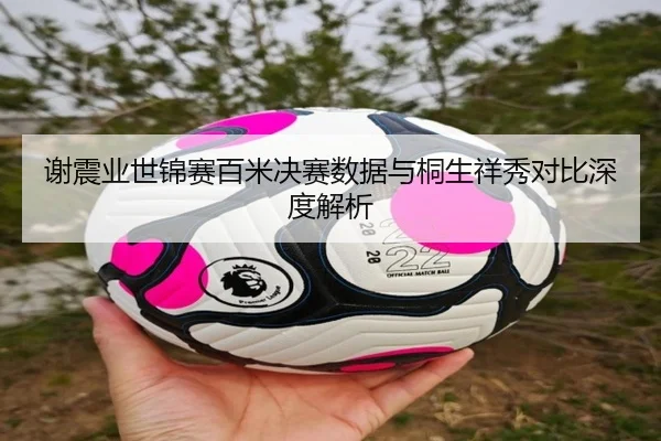 谢震业世锦赛百米决赛数据与桐生祥秀对比深度解析