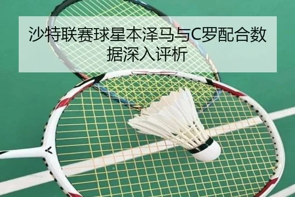 沙特联赛球星本泽马与C罗配合数据深入评析